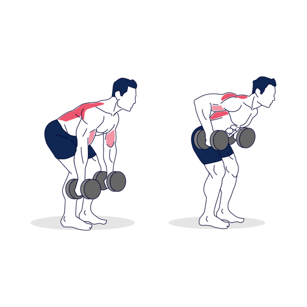 Dumbbell Bent Over Rows Illustration